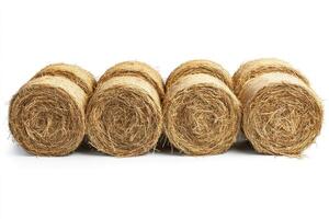 Four round hay bales creating a row on white background photo
