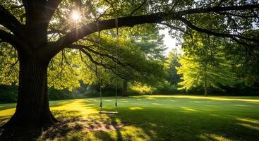A swing under a tree in a grassy field photo