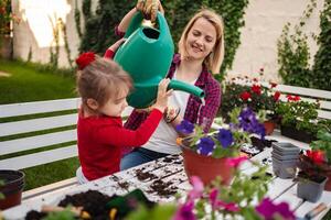 Joyful moments in the garden with little hands helping photo