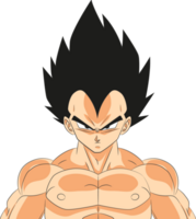 Vegeta Proud Saiyan Warrior with Full Color Battle Damage No Background Image png
