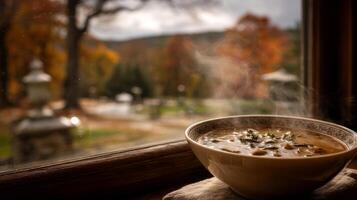 Steaming Bowl of Soup Viewed Through Autumnal Window photo