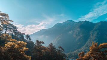 Richly textured scenes in natural landscape photography photo
