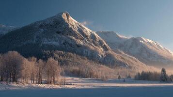 Sharp and lifelike scene captured in nature photography photo