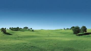 Summer scenery with vivid colors and details photo