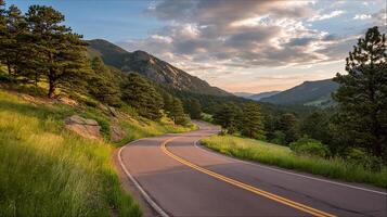 Scenic roadway in detailed nature setting photo