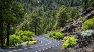 Wide scenic road in photorealistic setting photo