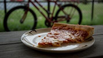 A slice of pizza on a plate photo