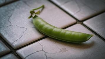 A single green pea pod resting on a surface of square tiles with visible cracks and grout lines photo