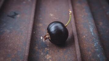 A single black currant berry resting on a weathered metal surface in a close up detailed shot photo