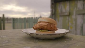 A crispy chicken sandwich with pickles and sauce on a plate outdoors on a cloudy day landscape view photo