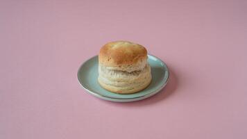 A single biscuit on a light green plate against a pink background in a simple studio shot setting photo