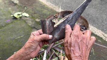 Close-up of hands weaving traditional Balinese offering basket made from palm leaves. Daily spiritual ritual and cultural craft in Bali. video