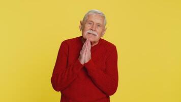 Please, God help. Senior old man praying, looking at camera and making wish, asking with hopeful imploring expression, begging apology, meditation. Elderly grandfather isolated on yellow background video
