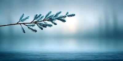 Frozen Pine Branch Winter Nature Scene Frosty Needles Cold Weather photo