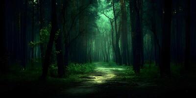 Dark Green Forest Path Mysterious Trees Nature Scene photo
