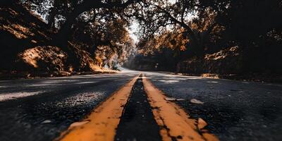 Autumn Road Fall Foliage Winding Road Trees Asphalt Pathway Scenic Route Orange Lines photo