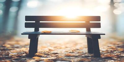 Autumn Park Bench Sunlight Yellow Leaves Wooden Seat Fall Season photo