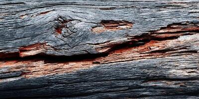 Dark Gray and Reddish Brown Weathered Wood Texture Detailed Grunge Rustic Surface Background photo