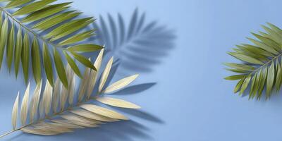 Tropical Palm Leaves Light Blue Background Flatlay Summer Design photo