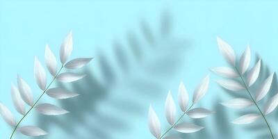 Pale White Leaf Branches on Light Blue Background with Shadows photo