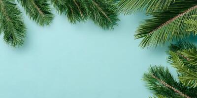 Green Leaves Frame Pastel Background Floral Design Tropical Plants Christmas Tree Branches Summer Design photo