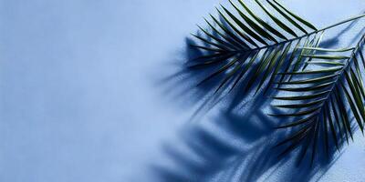 Tropical Palm Leaves Shadow on Blue Textured Background photo
