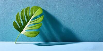 Single Monstera Leaf on Blue Textured Background Minimalist Photography photo