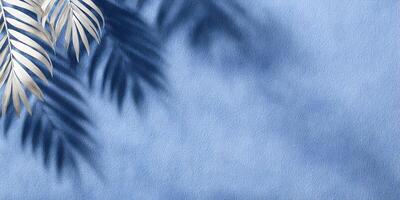 White Palm Leaf Shadow on Blue Textured Background photo
