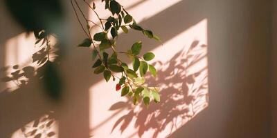 Sunlight Shadow Overlay Green Leaves Branch on Beige Wall Minimalist Photography photo