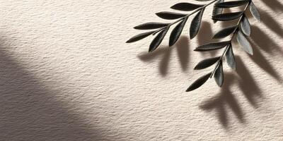 Beige Textured Background with Dark Gray Olive Branch and Shadow photo