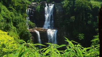 Water flows down a tiered waterfall surrounded by vibrant green vegetation, creating a serene and picturesque scene in a tropical rainforest environment video