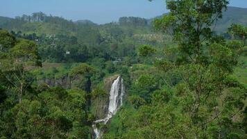 Ramboda Falls creates a breathtaking spectacle as it plunges down the verdant slopes, surrounded by a vibrant tapestry of tropical foliage, offering a glimpse into Sri Lanka's natural beauty video