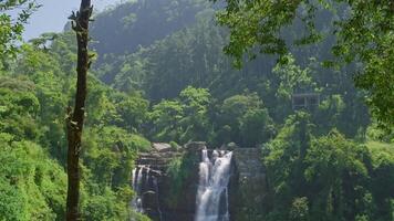 Water flows gracefully down a rocky cliff face, surrounded by vibrant green vegetation, creating a breathtaking natural spectacle in a sunny day video