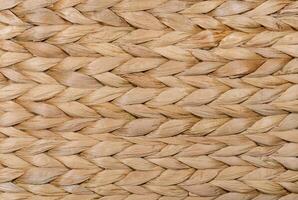 Dry grass wicker background texture photo