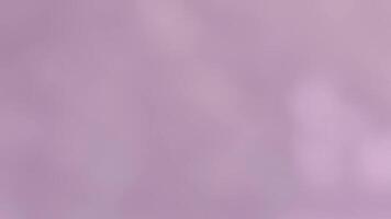 Lavender blurred background with subtle motion and a soft light flare, creating an abstract ambiance video