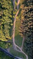 Aerial view of lush forest with winding paths, showcasing vibrant greenery and natural tranquility ideal for eco tourism and nature retreats video