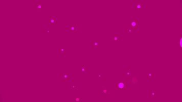 magenta animation with scattered light particles. A dynamic and modern background loop with gentle sparkle video