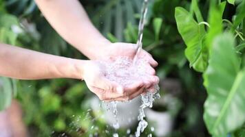 Fresh water drop on man hand with branch nature background slow motion video