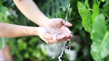 Fresh water drop on man hand with branch leaf nature background slow motion video