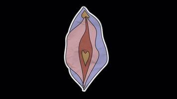 Looping unfolded paper sticker of the female reproductive system featuring the vulva on transparent background for anatomy or educational use video