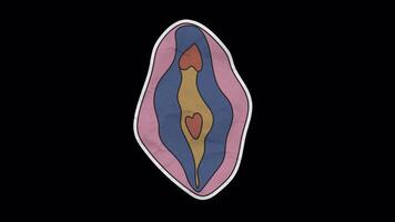 Beauty Female Anatomy Sticker Loop on Transparent Background video