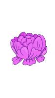 Blooming pink peony flower swaying 2D cartoon vertical animation. Floral blossom petals in motion. Spring botany. Aesthetic flora animated flat colorful object 4K isolated on white video