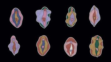 Set of unfolded paper stickers featuring the female reproductive system and vulva on transparent background for anatomy and educational purposes video