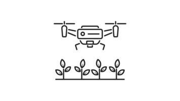 Farming drone icon animation. Farming drone icon shows a drone spraying plants in a vast green field. Suitable for agriculture, technology, farming concepts. Motion graphic. video