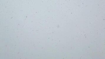 Continuous snowfall with dense white flakes against gray sky video