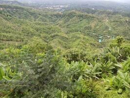 Lush Green Mountain Landscape Panorama View Tropical Foliage Abundant Nature Scenery photo
