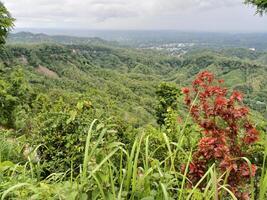 Serene Hilltop Vista Lush Green Mountains Distant Cityscape Scenic Viewpoint Nature Landscape photo