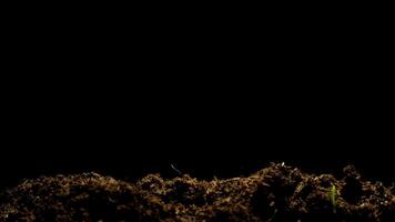A close up of a dirt pile with a black background video