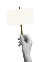 blank protest placard with raised hand, promoting expression during demonstration. Empty signboard, photo