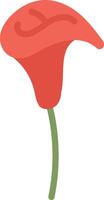Elegant Calla Lily vector